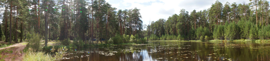 Fototapeta na wymiar Pine forest and river panorama. Beautiful park with sun rays. Natural light without filters. Wide format.DSC