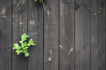 Wood table texture. Timber plank surface wall for vintage grunge wallpaper. Dark grain panel board table with copy space. Old floor wooden pattern. Natural material backdrop.