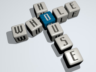 WHOLE HOUSE crossword by cubic dice letters - 3D illustration for background and white