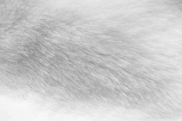 White fur fabric texture background