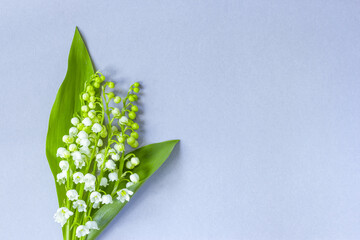 bouquet of lilies of the valley on a gray background close-up. the bouquet of lilies of the valley lay flat and empty.