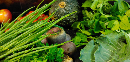 A small variety of vegetables fresh from the organic fair.