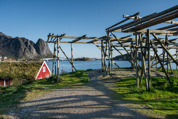 Traditionnal red wooden fishing rorbu  beside a construction for drying cod in Lofoten Islands in Northern Norway 