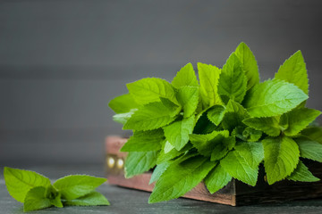 sprigs of fresh mint in a wooden box close-up on a wooden background. background with branches and leaves of fresh mint.