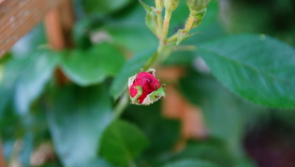 Canal du pays de Loire