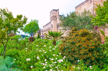 Porte de l'Oulle gate behind the garden bed, Avignon, France