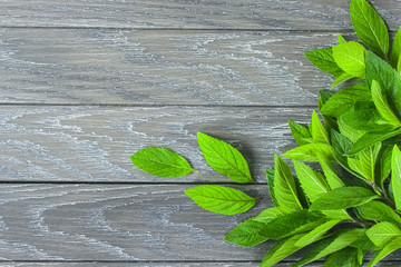 sprigs of fresh mint on a wooden background top view. background with branches and leaves of fresh mint.