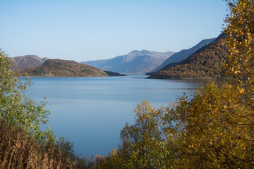 Autumn landscape in Norwegian fjord surronded by mountains