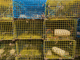 Lobster traps in New Brunswick Canada