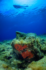 Naklejka na ściany i meble a scuba diver swims over a Mediterranean seabed