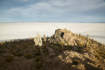 Captus and the Uyuni salar desert. South of Bolivia.