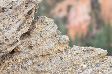Close up of rock texture