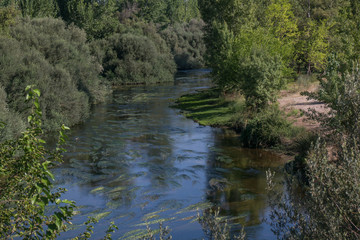 Fototapeta na wymiar krajobraz rzeka las drzewa liście woda lato natura