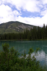 Bow River on a Cloudy Morning