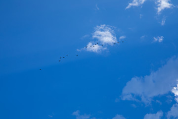Fototapeta na wymiar Beautiful blue sky background with tiny clouds.