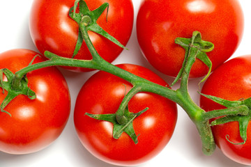 tomatoes isolated on white background