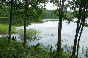 Obraz premium Svetloyar lake - natural monument and cultural heritage of Russia, Voskresensky District of the Nizhny Novgorod District