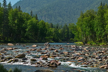 Russia. South Of Western Siberia. mountain Altai. Rocky rapids on the river Kumir near the village...