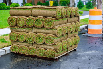 Stack of turf grass rolls for a lawn fresh grass to decorate landscape design