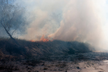 Australia bushfires in summer fire season