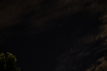 Fototapeta na wymiar Starry Night Sky from the Backyard