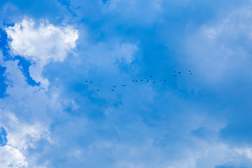 Beautiful blue sky background with tiny clouds.