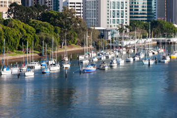 Group of yachts in Brisbane river