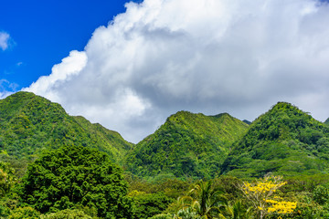 Manoa Valley Views