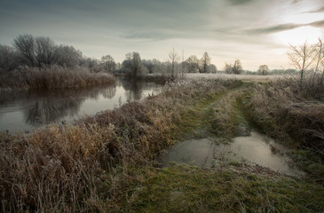 Autumn natural landscape with river and forest. Cold cloudy morning. The grass is white with frost.