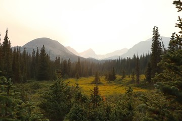 Obraz na płótnie Canvas mountain landscape in the morning