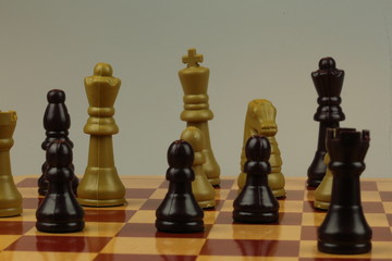 Chess game board with custom pieces