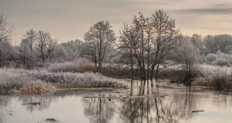 Autumn natural landscape with river and forest. Cold cloudy morning. The grass is white with frost.