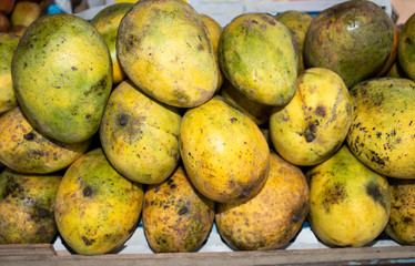 Ripe Mangoes Fruit in an Indian Fruits Stall for Selling