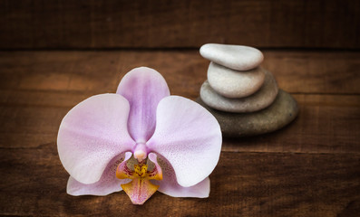 pink Orchid and Spa stones on a brown wooden background