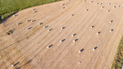 Aerial view of the straw bale on the gold color wheat field.