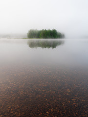 Trees in Powder Mill Pond in Bennington New Hampshire on a foggy morning just before sunrise.