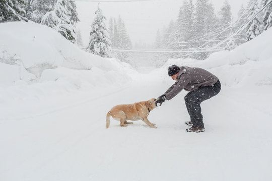 Caucasian man playing tug-of-war with dog in snow