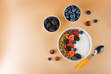 Fresh breakfast with greek yogurt nuts oatmeal granola with berries in a bowl