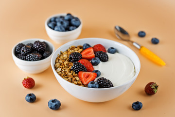 Fresh breakfast with greek yogurt nuts oatmeal granola with berries in a bowl