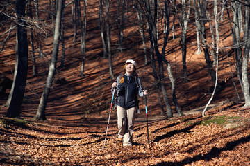 A girl in hiking clothes with trekking poles walks in the mountains in the autumn beech forest.