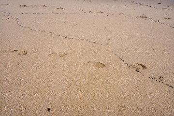 mark of steps in the sand