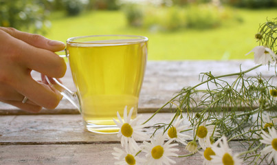 Glass cup of chamomile tea