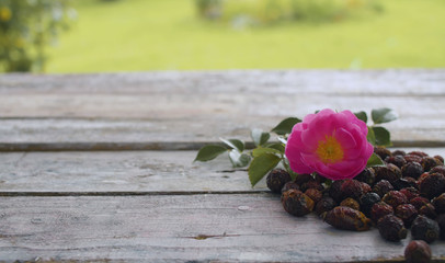 Dried rose hips and rosehip decoction