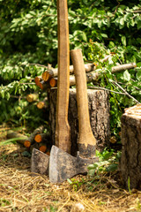 Fototapeta premium Old axes near the stump and chopped branches