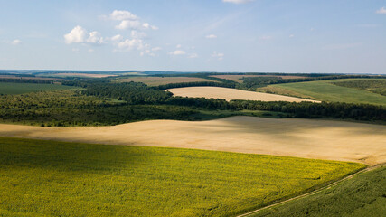 landscape with river