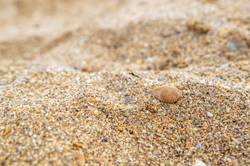 Close up of sand from small shells on the seaside.