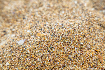 Close up of sand from small shells on the seaside.