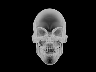Skull - front view - x ray visual effect