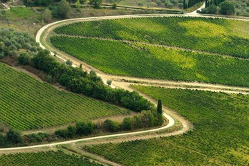 Tuscany Countryside with green vineyards, Italy