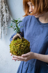 kokedama with bonsai tree or succulent tree in the hands of female close up